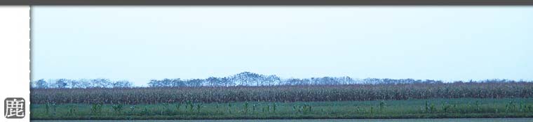 優良鹿茸的專賣鹿場