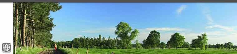 優良鹿茸的專賣鹿場