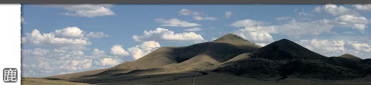 優良鹿茸的專賣鹿場